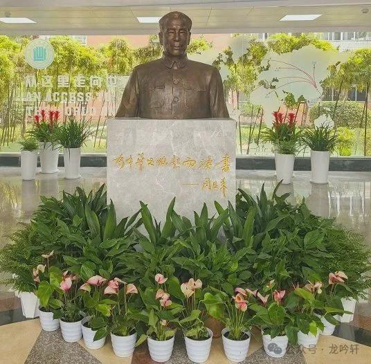 汉爸爸如何一步步把孩子送进华师一！PP电子免费模拟器不择校不分班！武(图7)