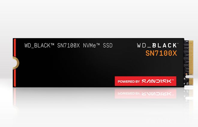 于ROG Ally（X）的存储卡和SSDPP电子游戏掌机玩家